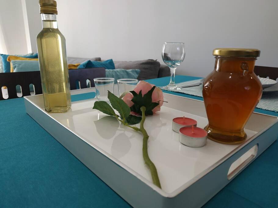 Apartament Stelisioanna *